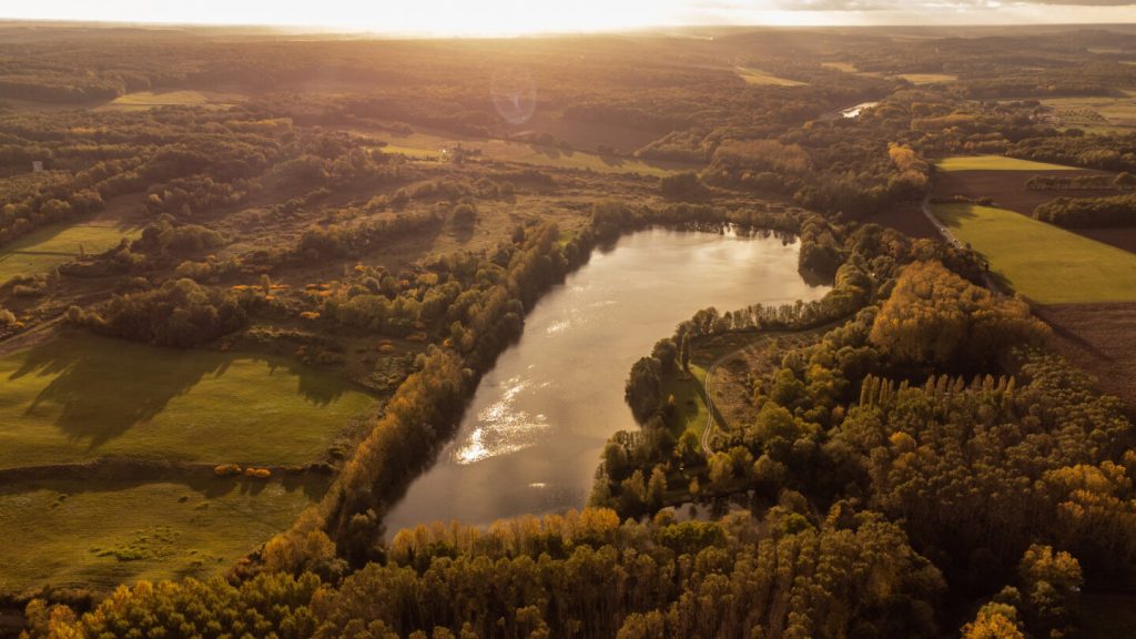 peche a la carpe en france carpanium