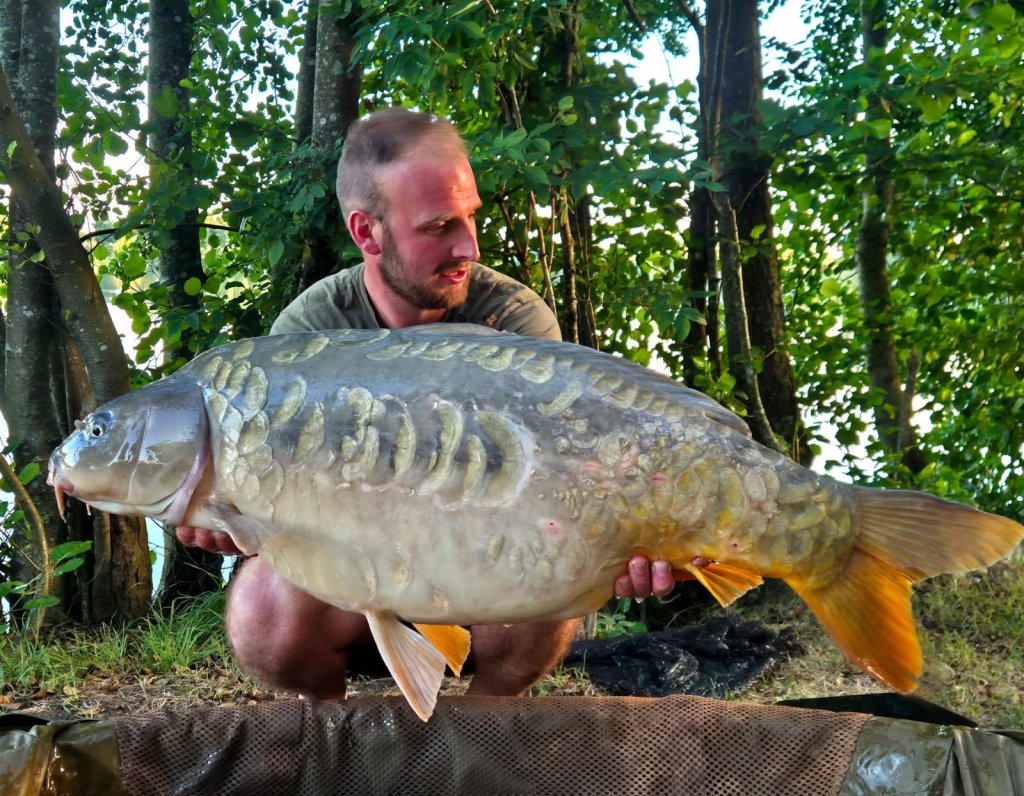 peche a la carpe en france graviere carp avenir
