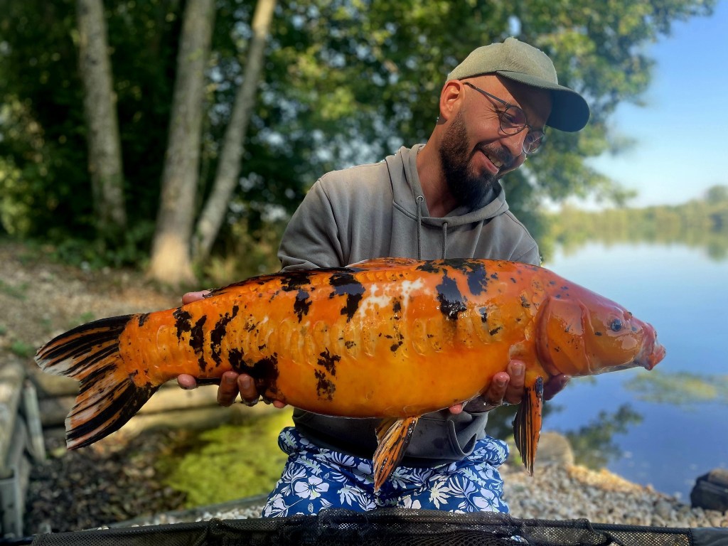 peche a la carpe en france graviere carp avenir