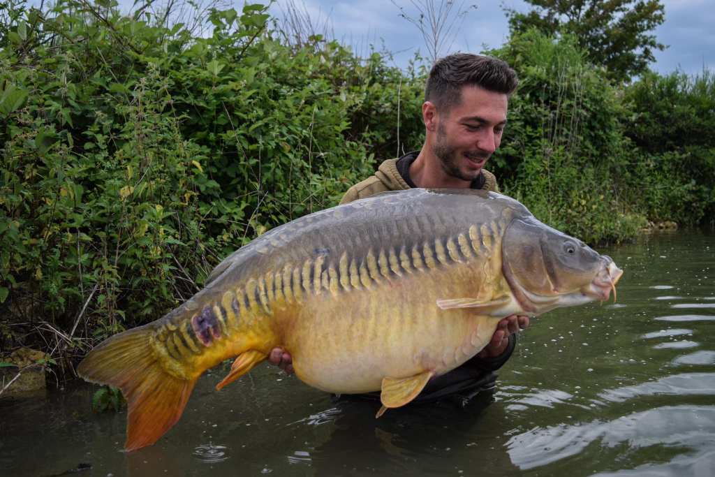 peche a la carpe en france domaine du frene