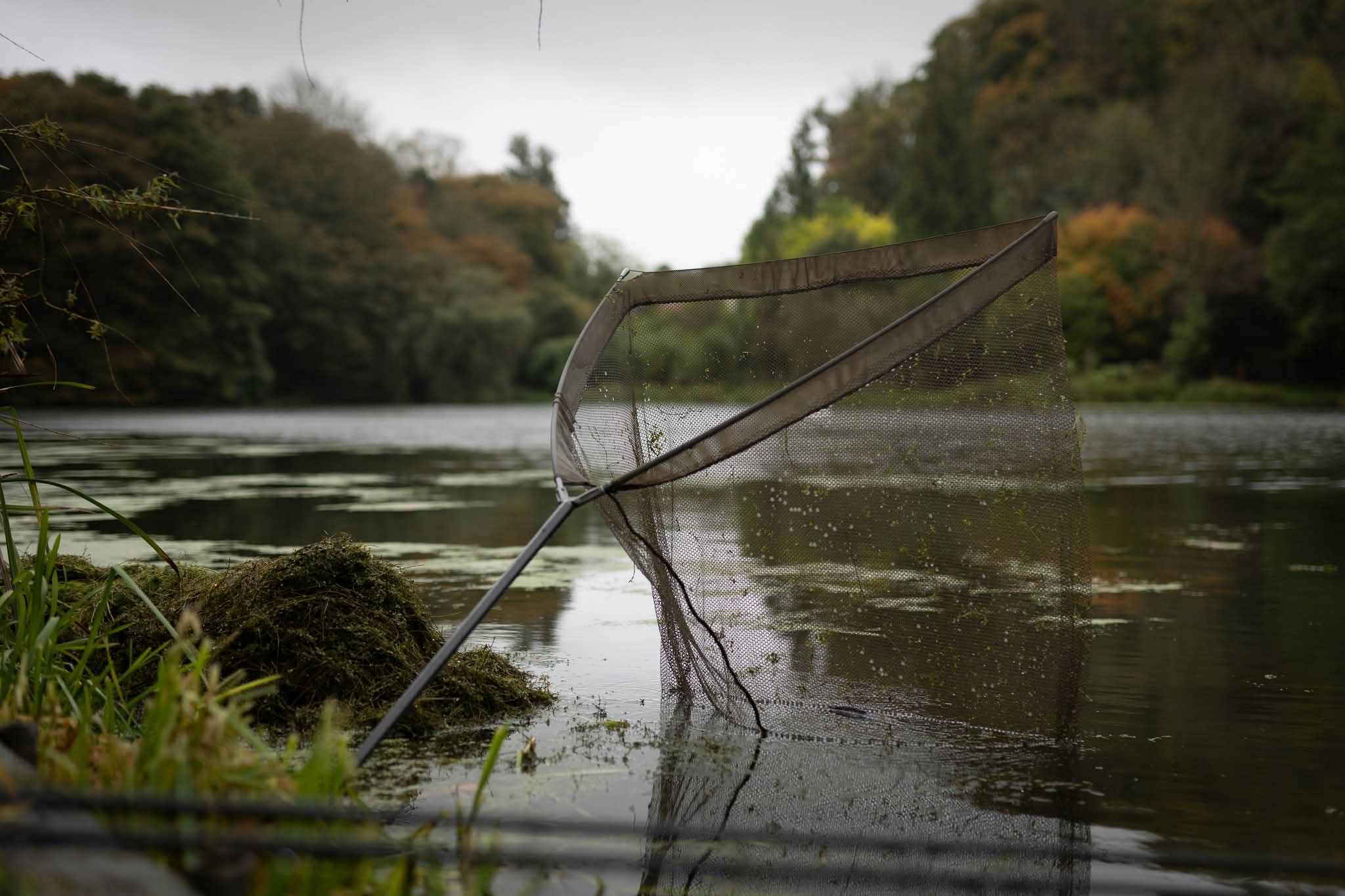 epuisette peche carpe