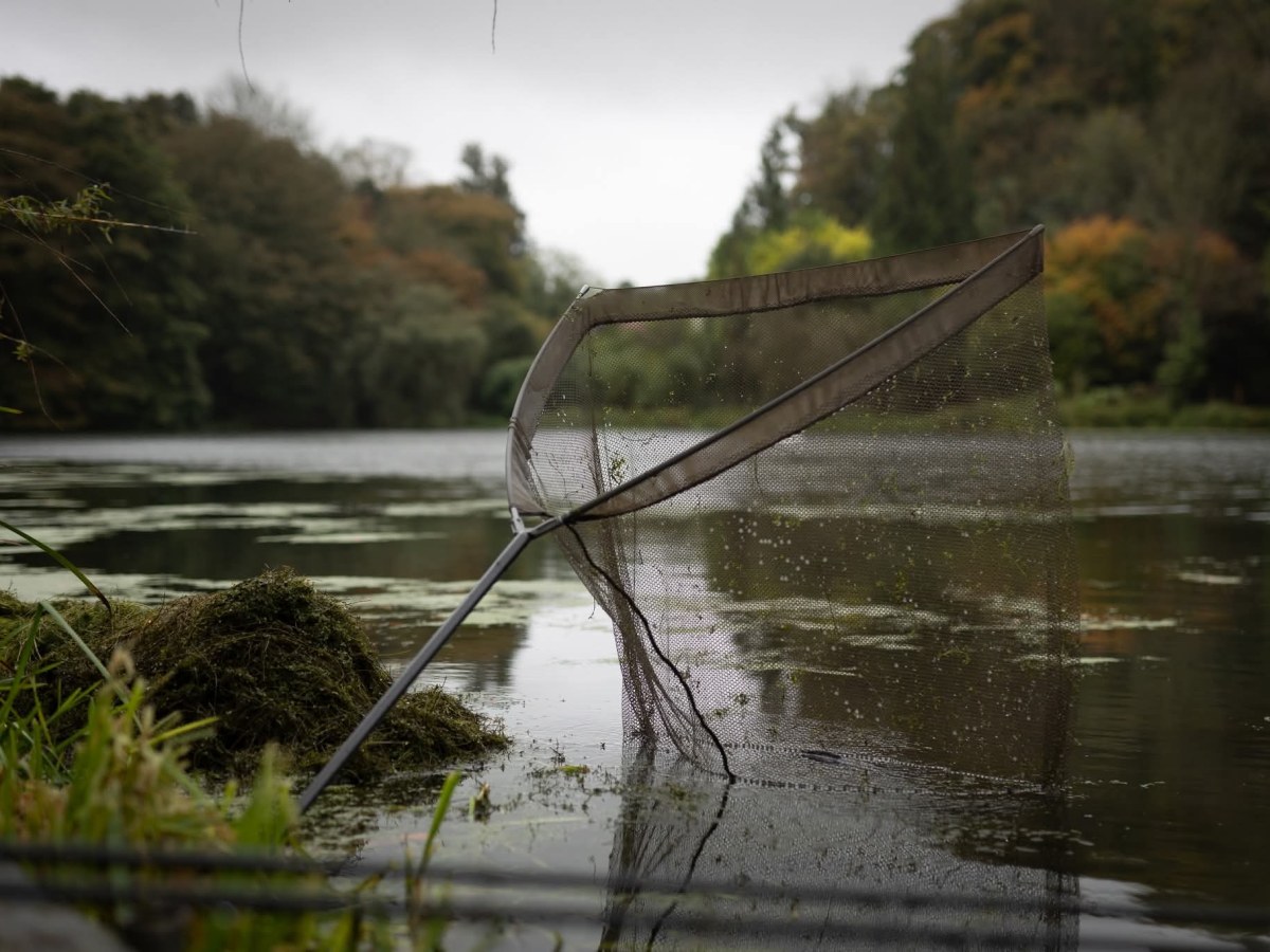 Pourquoi l&rsquo;automne est LA saison des grosses&nbsp;carpes