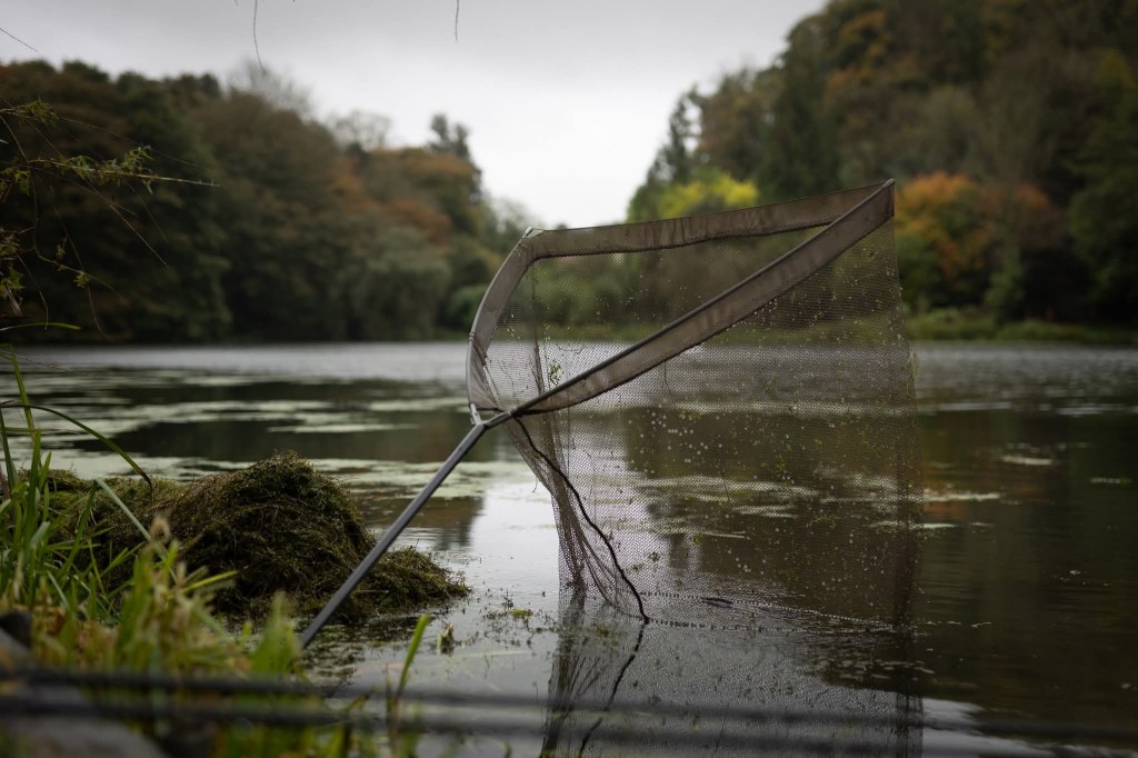 peche carpe automne astuce