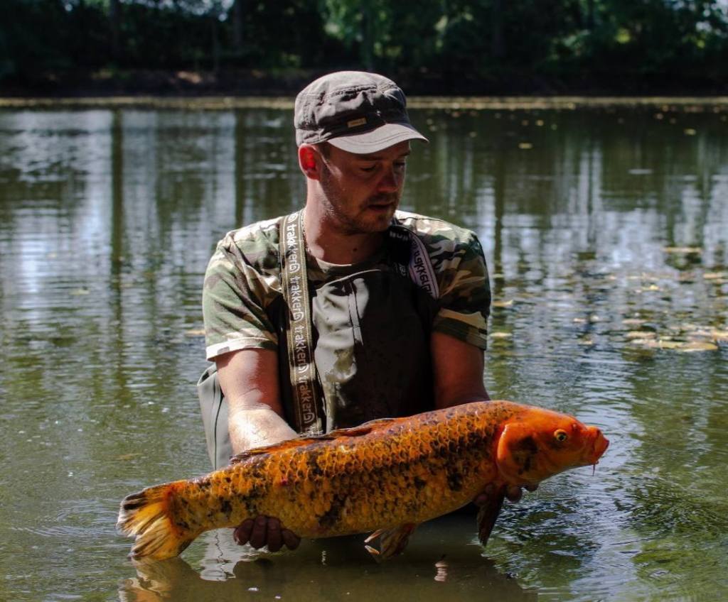 koi La Gravière Sarthoise